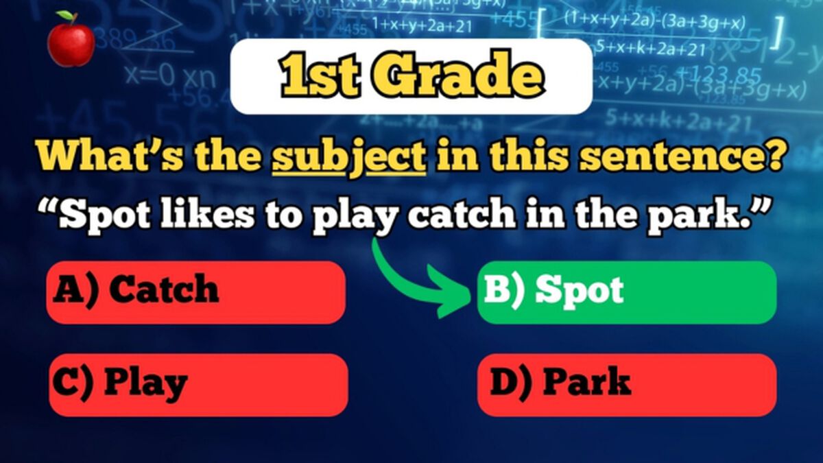 Are You Smarter Than a 12th Grader? image number null